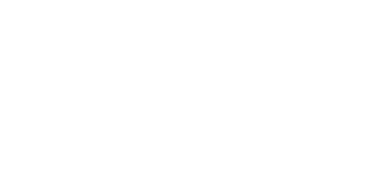Digital Integrity Watch Logo